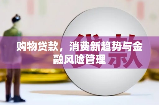 朔城购物贷款，消费新趋势与金融风险管理