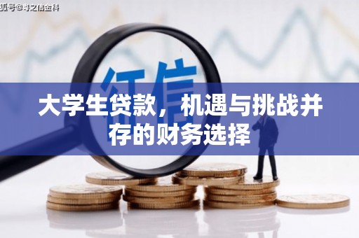 朔城大学生贷款，机遇与挑战并存的财务选择