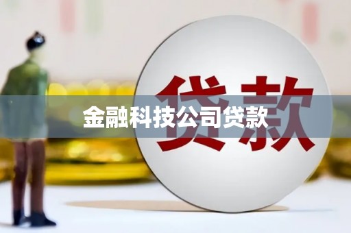 朔城金融科技公司贷款