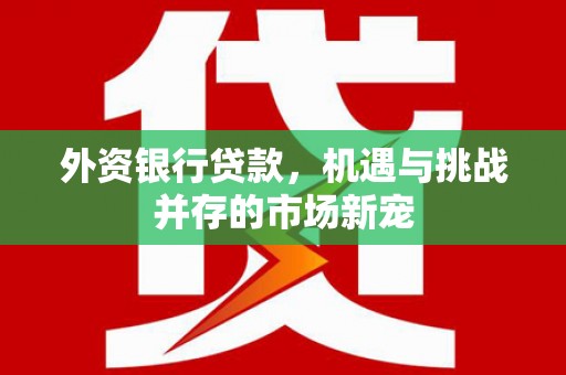 朔城外资银行贷款，机遇与挑战并存的市场新宠