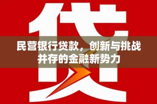 朔城民营银行贷款，创新与挑战并存的金融新势力