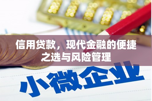 朔城信用贷款，现代金融的便捷之选与风险管理