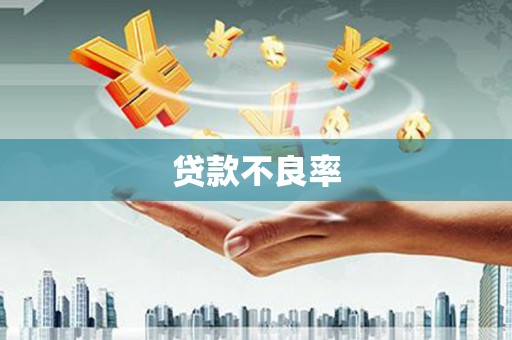 朔城贷款不良率
