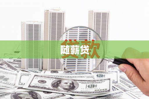 朔城随薪贷