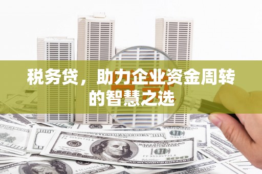 朔城税务贷，助力企业资金周转的智慧之选