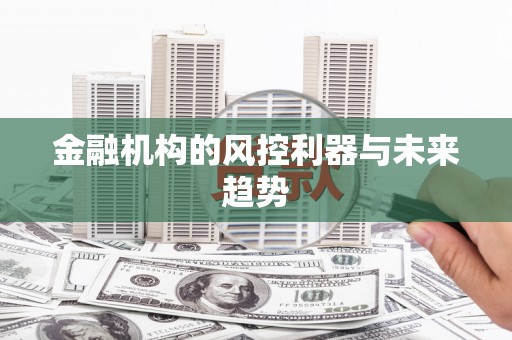 朔城金融机构的风控利器与未来趋势