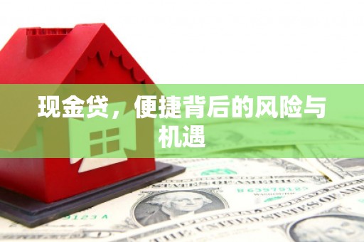 朔城现金贷，便捷背后的风险与机遇
