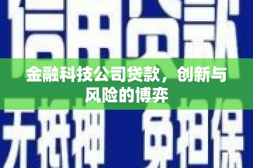 朔城金融科技公司贷款，创新与风险的博弈