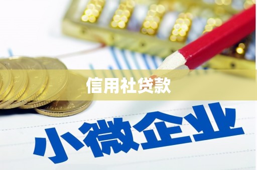 朔城信用社贷款