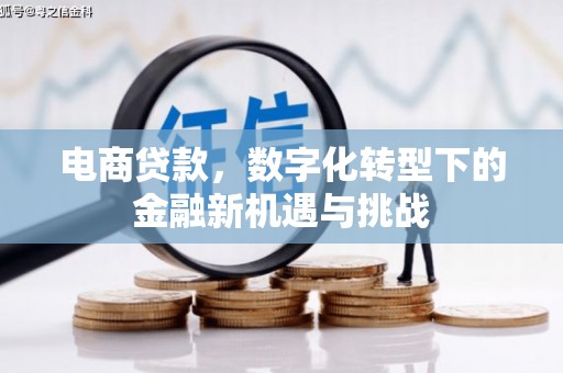 朔城电商贷款，数字化转型下的金融新机遇与挑战