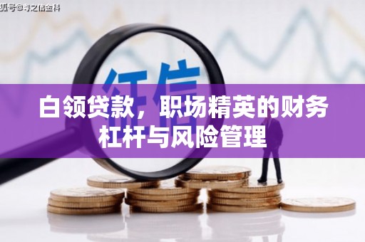 朔城白领贷款，职场精英的财务杠杆与风险管理
