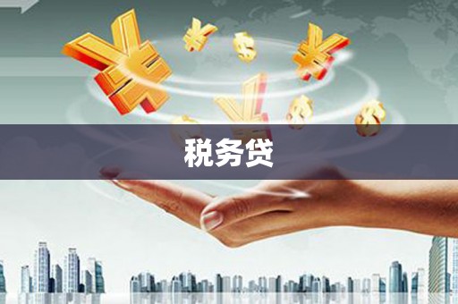 朔城税务贷