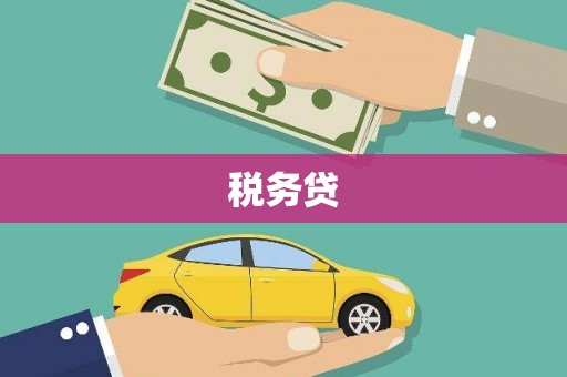 朔城税务贷