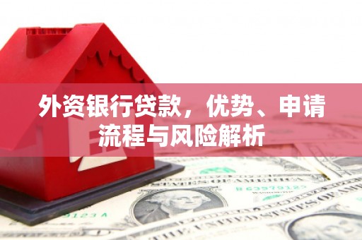 朔城外资银行贷款，优势、申请流程与风险解析