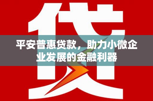 朔城平安普惠贷款，助力小微企业发展的金融利器