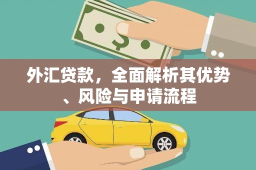 朔城外汇贷款，全面解析其优势、风险与申请流程