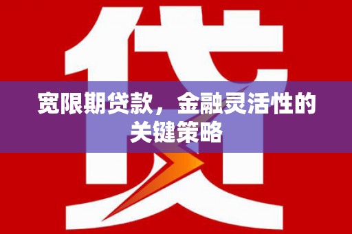 朔城宽限期贷款，金融灵活性的关键策略