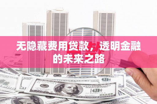 朔城无隐藏费用贷款，透明金融的未来之路