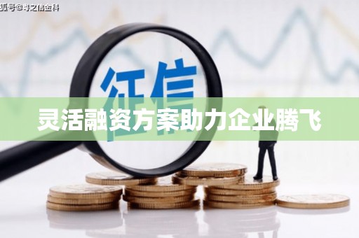 朔城灵活融资方案助力企业腾飞