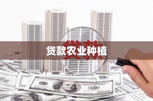 朔城贷款农业种植