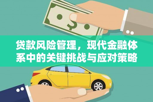 朔城贷款风险管理，现代金融体系中的关键挑战与应对策略