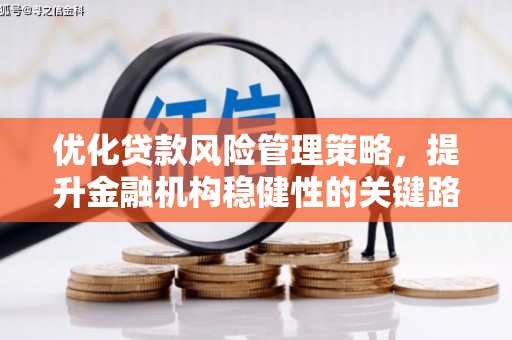 朔城优化贷款风险管理策略，提升金融机构稳健性的关键路径