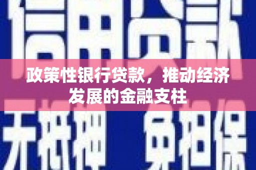 朔城政策性银行贷款，推动经济发展的金融支柱