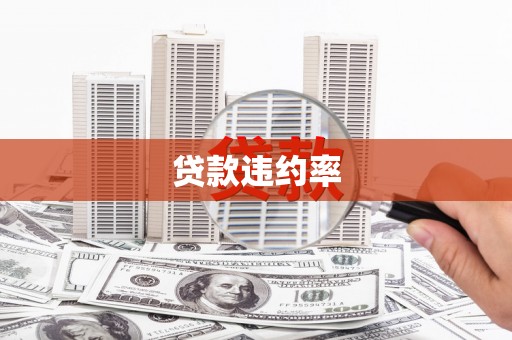 朔城贷款违约率