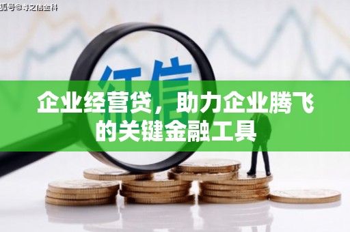 朔城企业经营贷，助力企业腾飞的关键金融工具