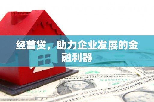 朔城经营贷，助力企业发展的金融利器