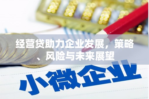 朔城经营贷助力企业发展，策略、风险与未来展望
