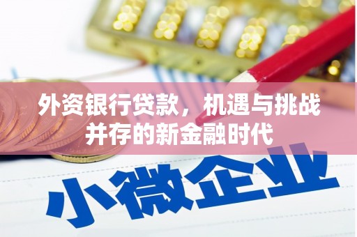 朔城外资银行贷款，机遇与挑战并存的新金融时代