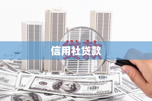 朔城信用社贷款