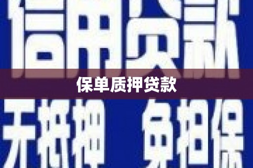 朔城保单质押贷款