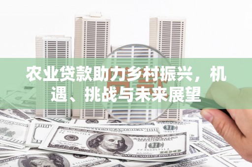朔城农业贷款助力乡村振兴，机遇、挑战与未来展望