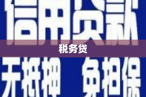 朔城税务贷