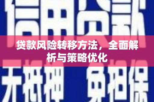 朔城贷款风险转移方法，全面解析与策略优化