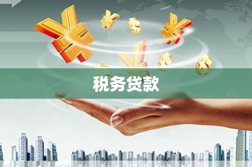 朔城税务贷款