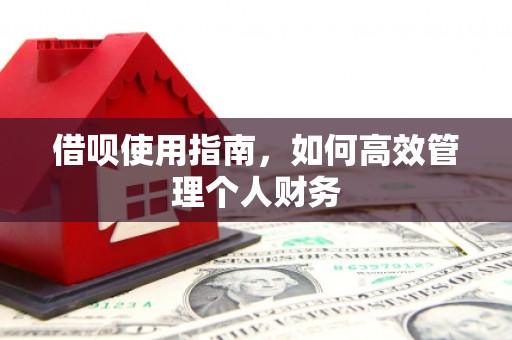 朔城借呗使用指南，如何高效管理个人财务