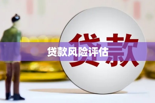 朔城贷款风险评估