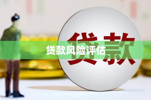 朔城贷款风险评估