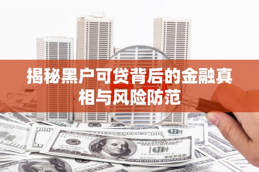朔城揭秘黑户可贷背后的金融真相与风险防范