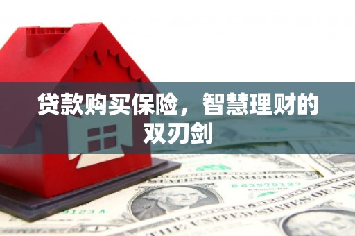 朔城贷款购买保险，智慧理财的双刃剑