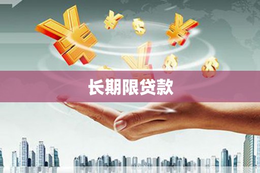 朔城长期限贷款