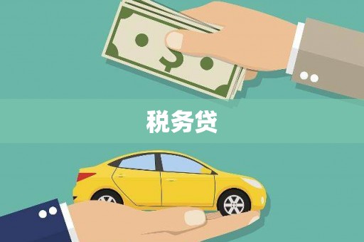 朔城税务贷