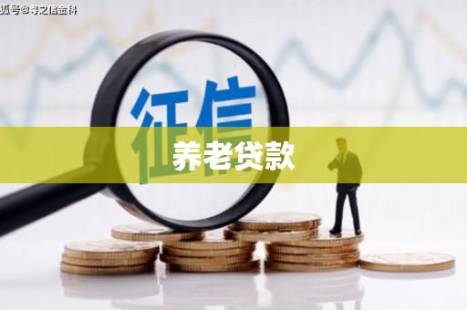 朔城养老贷款