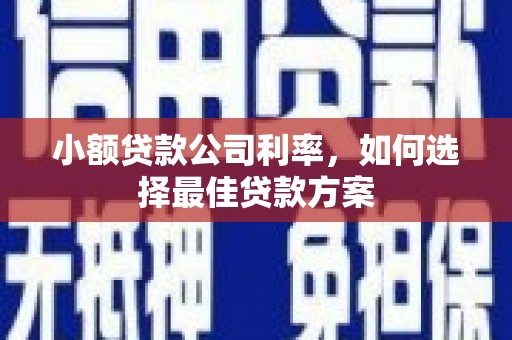 朔城小额贷款公司利率，如何选择最佳贷款方案
