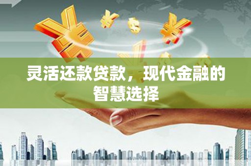 朔城灵活还款贷款，现代金融的智慧选择