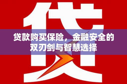 朔城贷款购买保险，金融安全的双刃剑与智慧选择