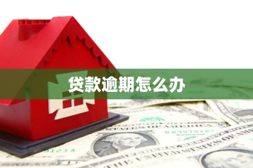 朔城贷款逾期怎么办